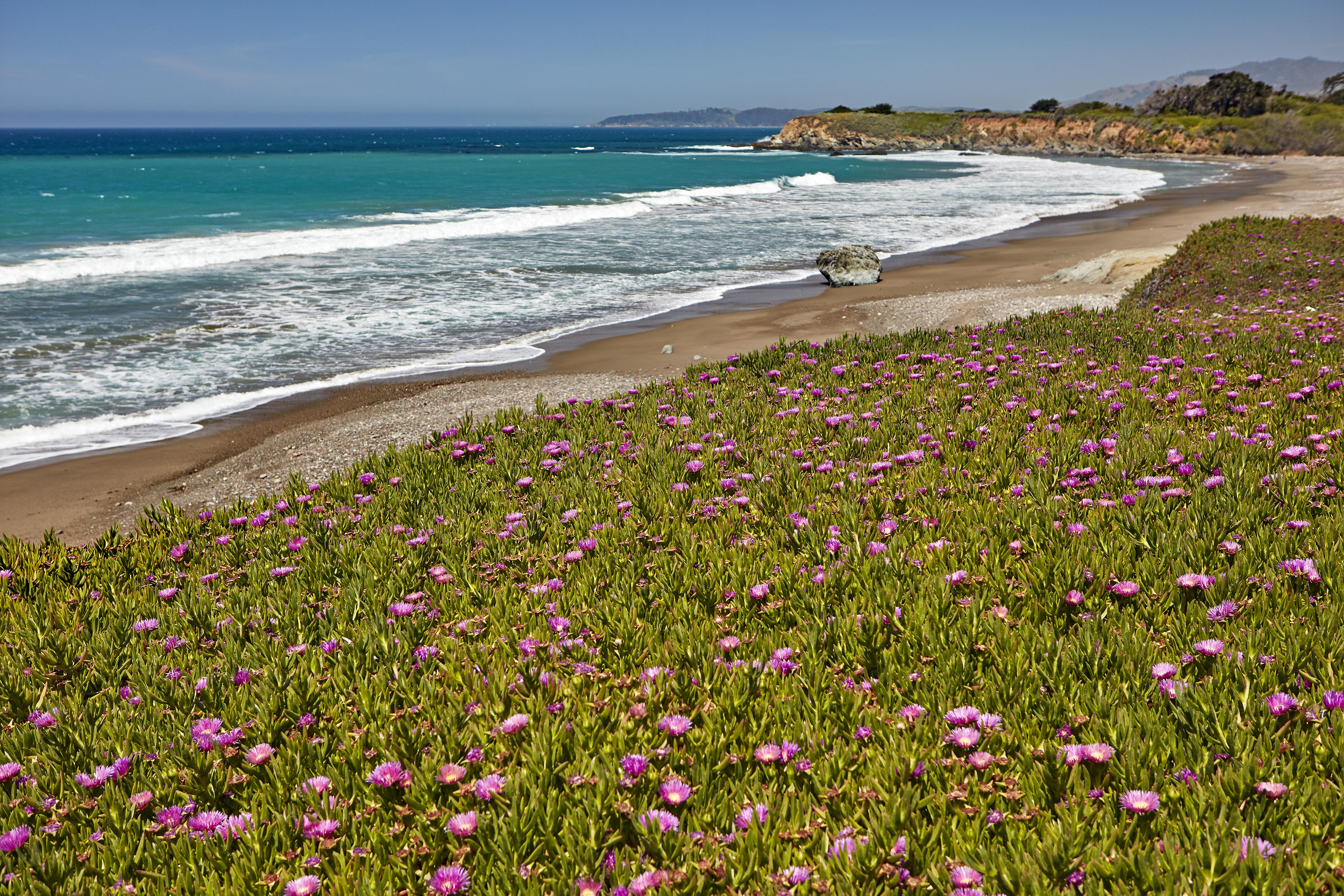 Cavalier Oceanfront Resort San Simeon Exteriér fotografie